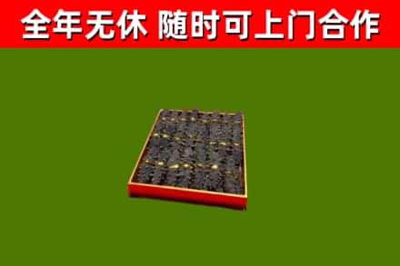 庆城回收海参